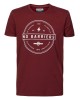 Petrol Industries men's T-shirt with round neckline M-3010-TSR6260-3151-RUSSET-RED)