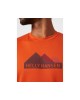 Men's T-shirt with a round neckline Helly Hansen (63088-300-ORANGE)