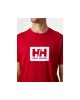 Men's T-shirt with a round neckline Helly Hansen (53285-162-RED)