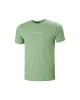 Men's T-shirt with a round neckline Helly Hansen (53936-406-JADE-GREEN)