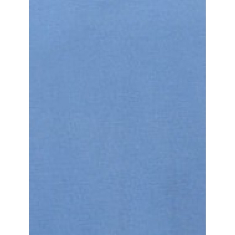 Men's polo T-shirt Petrol Industries (M-1030-POL002-5169-CORONET-BLUE)